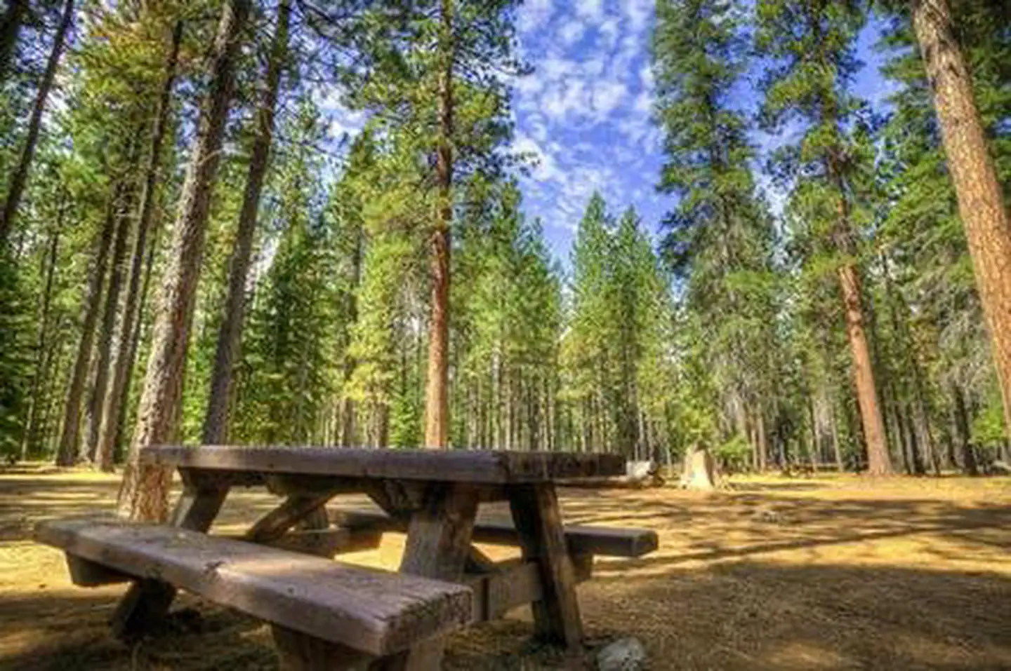 Jack Creek Campground β JACK CREEK CAMPGROUND