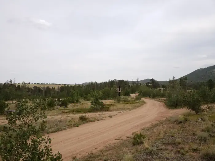 Yellow Pine Campground — Yellow Pine CG near site 15