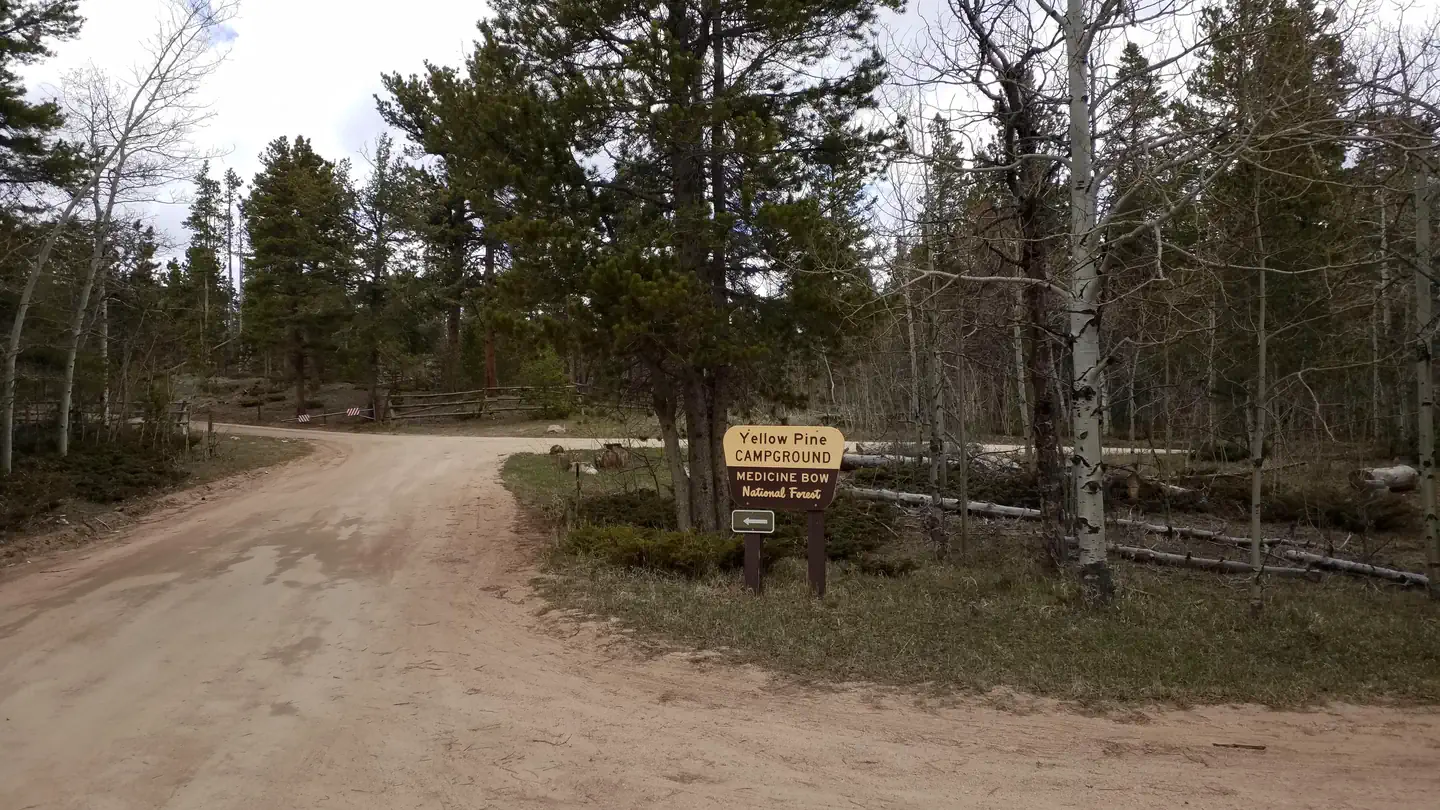 Yellow Pine Campground