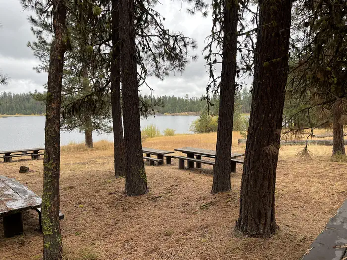 Delintment Lake — picnic tables looking towards lake