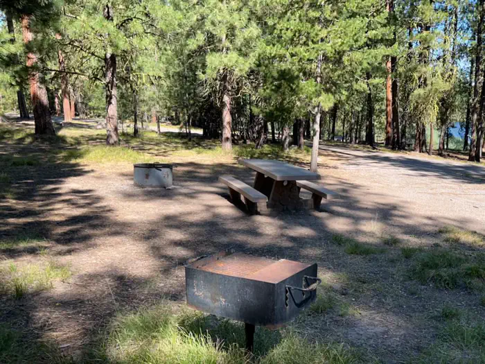 Delintment Lake — Campsite with fire ring, picnic table, and pedestal gril