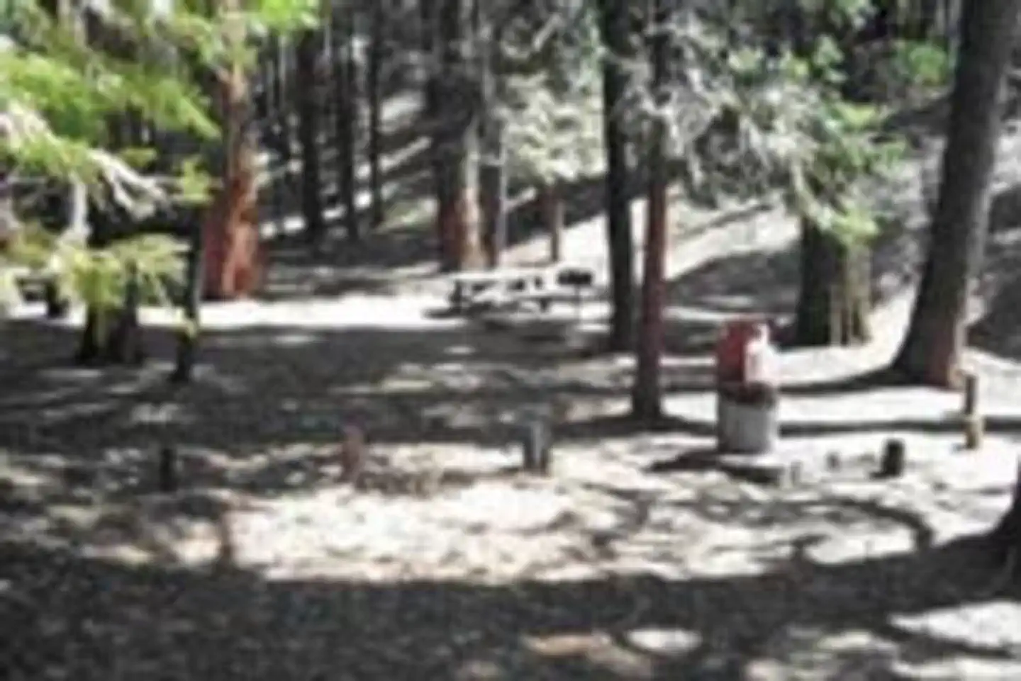 Belknap