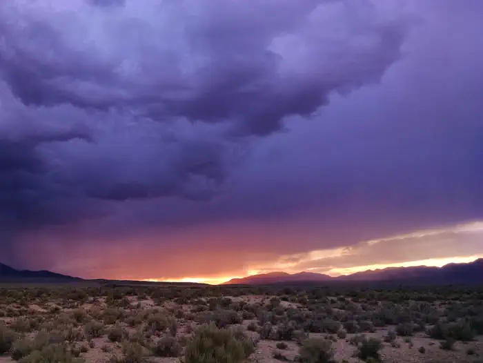 Lower Lehman Creek Campground — Sage and desert shrubs with an overcast sunset sky above