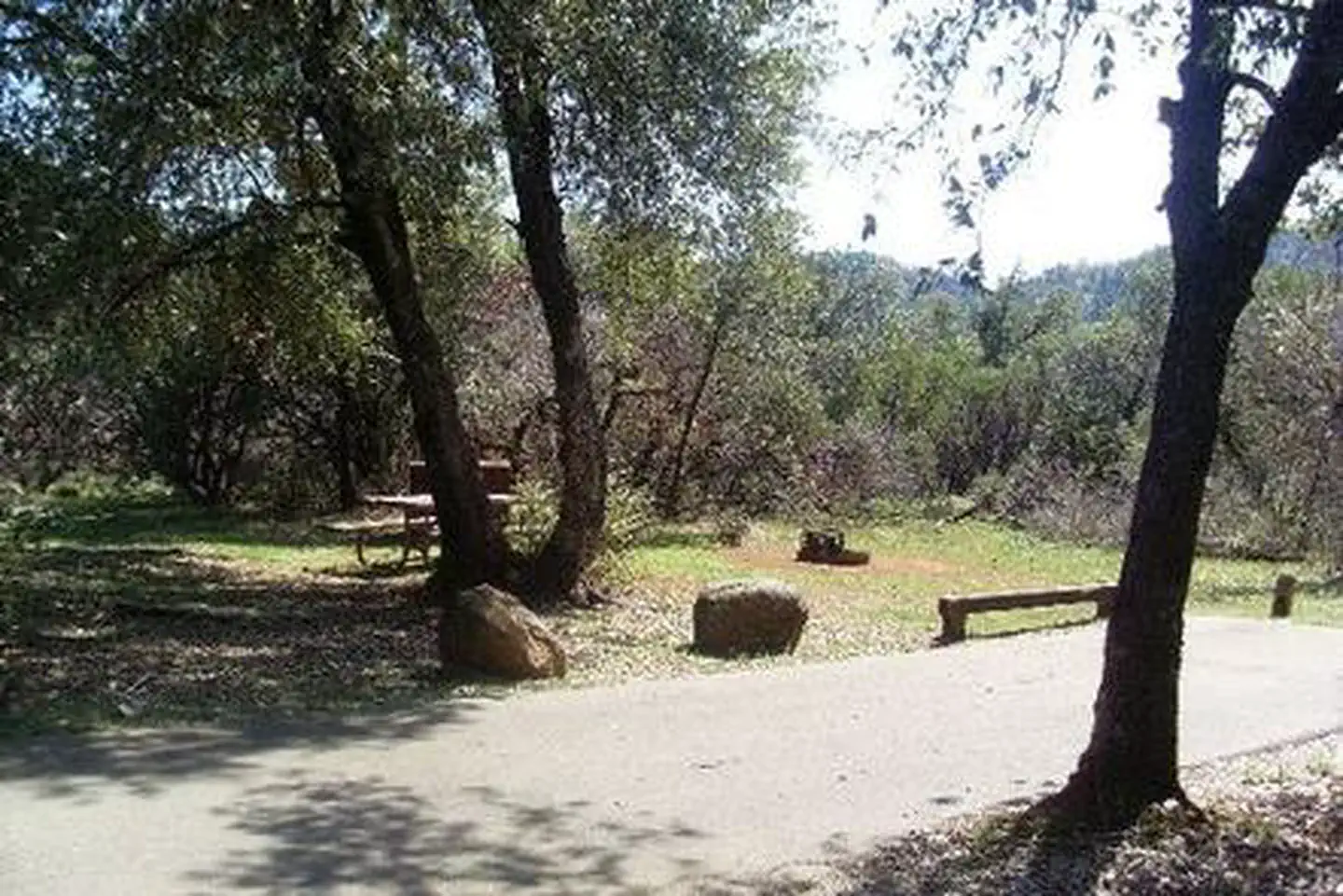 Antlers (shasta Lake, Ca) — ANTLERS44