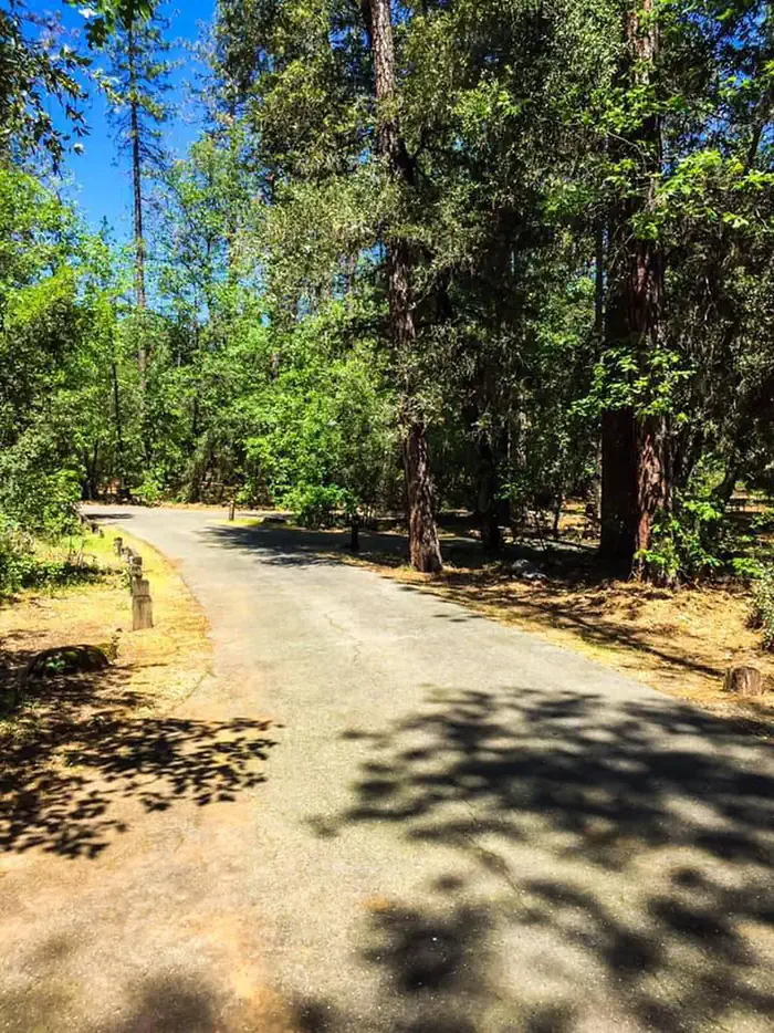 Antlers (shasta Lake, Ca) — Antlers Campground