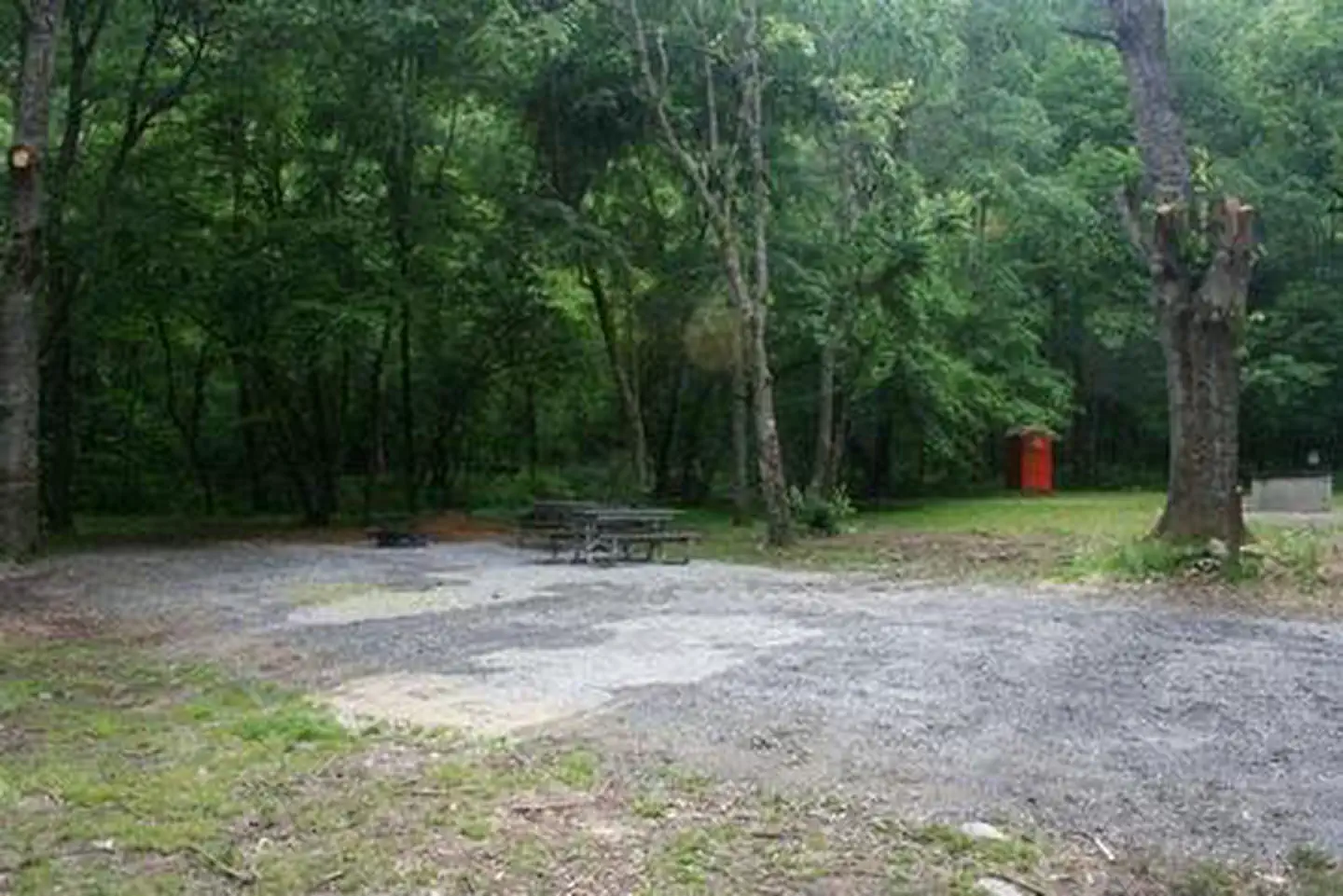 Cataloochee Horse Camp — CATALOOCHEE HORSE CAMP SITE WITH PICNIC TABLE