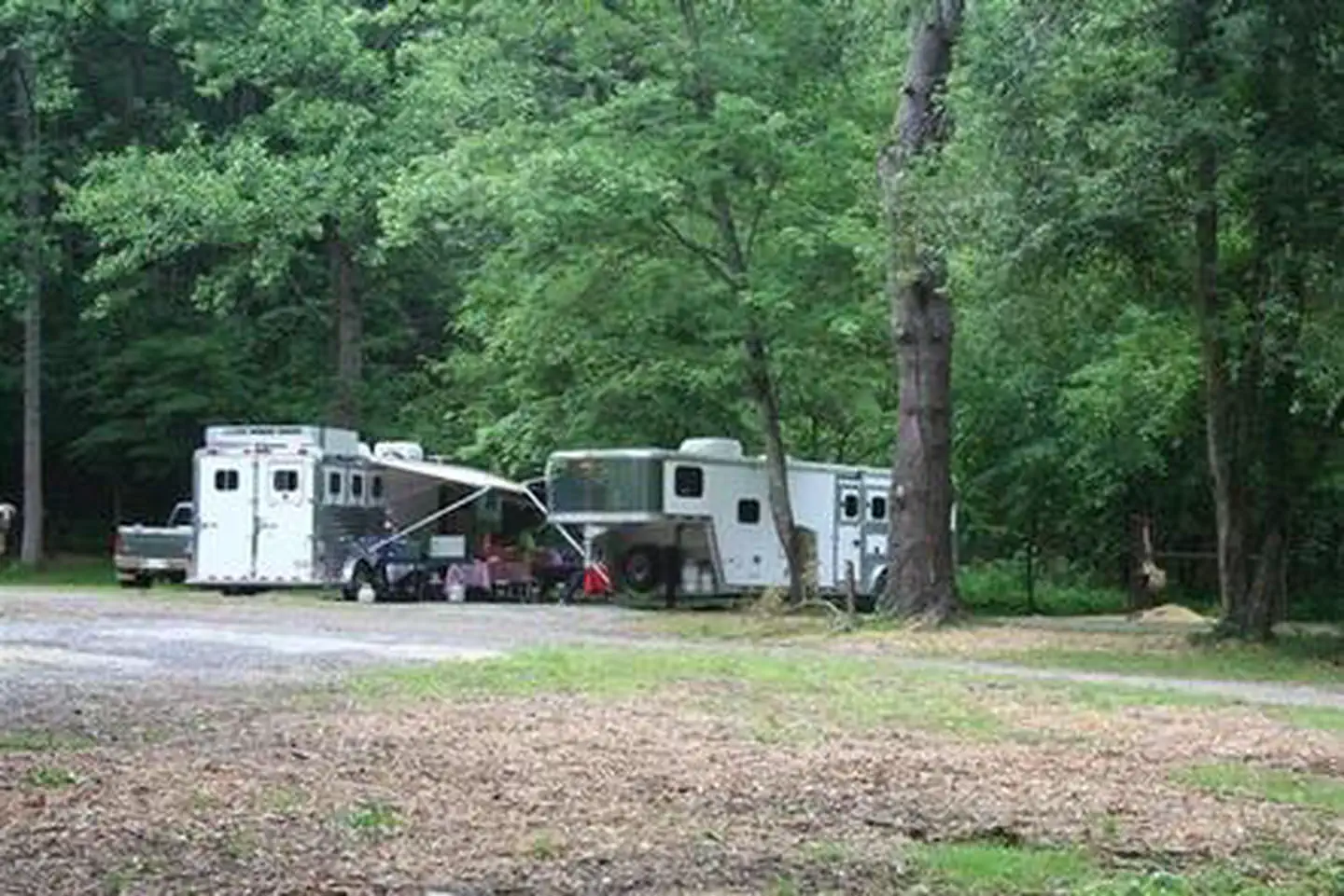Cataloochee Horse Camp — CATALOOCHEE HORSE CAMP