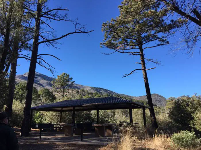 Reef Townsite Group Area β Bright blue skies over a large covered ramada surrounded by trees