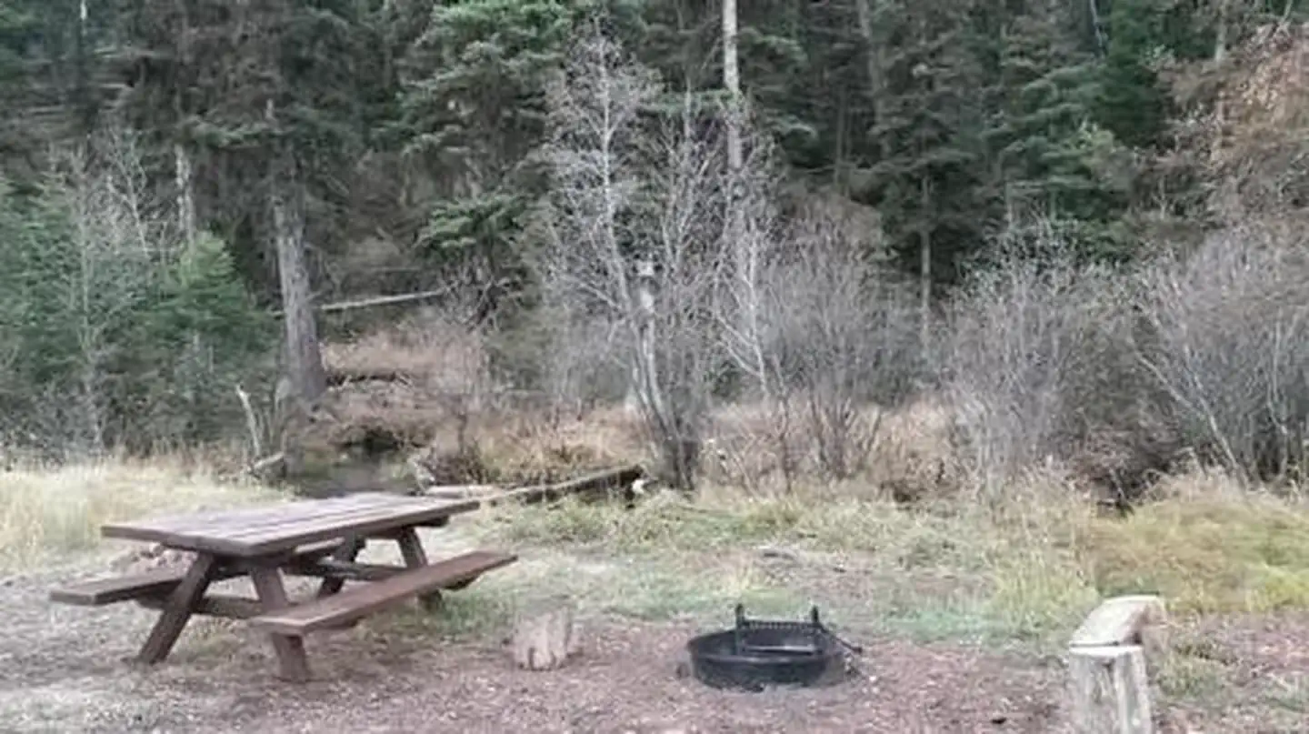 Cummings Cabin — Fire Pit