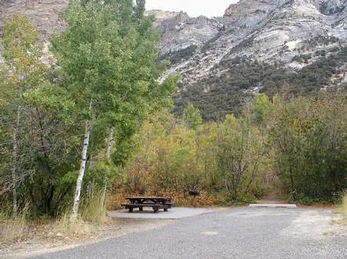 Thomas Canyon — THOMAS CANYON