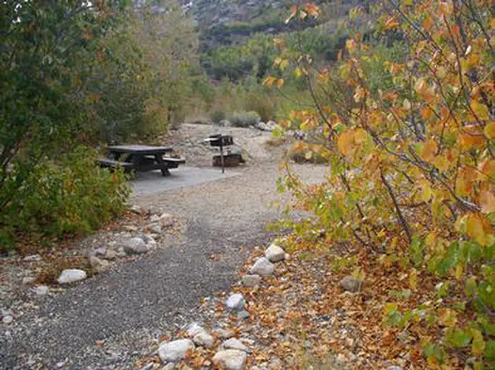 Thomas Canyon — THOMAS CANYON