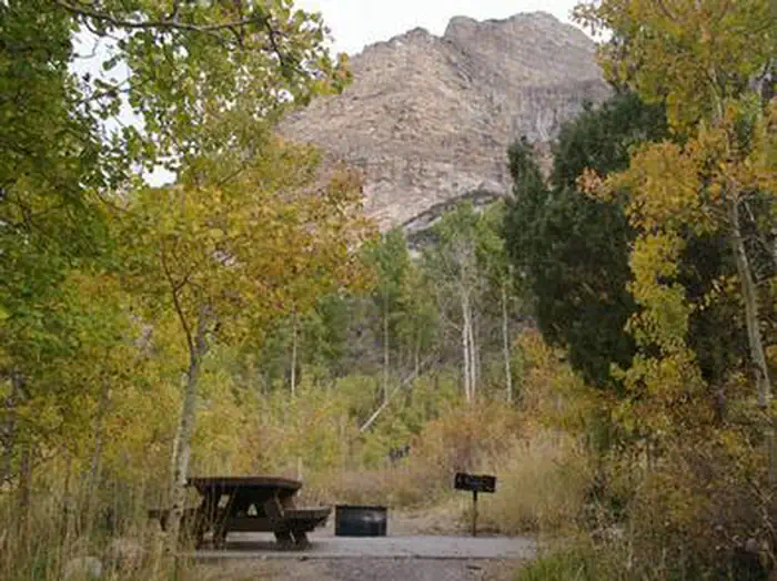 Thomas Canyon — THOMAS CANYON