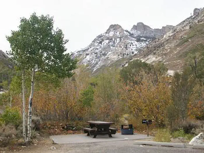 Thomas Canyon — THOMAS CANYON