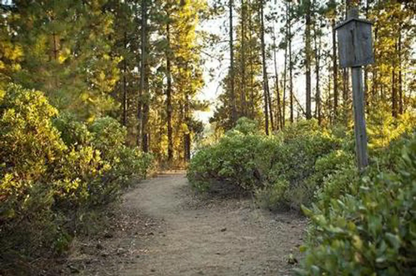 West South Twin Campground — WEST SOUTH TWIN CAMPGROUND