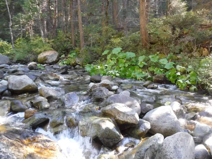 Tunnel Mills Group Campground — Monumental Creek by Tunnel Mills Campground