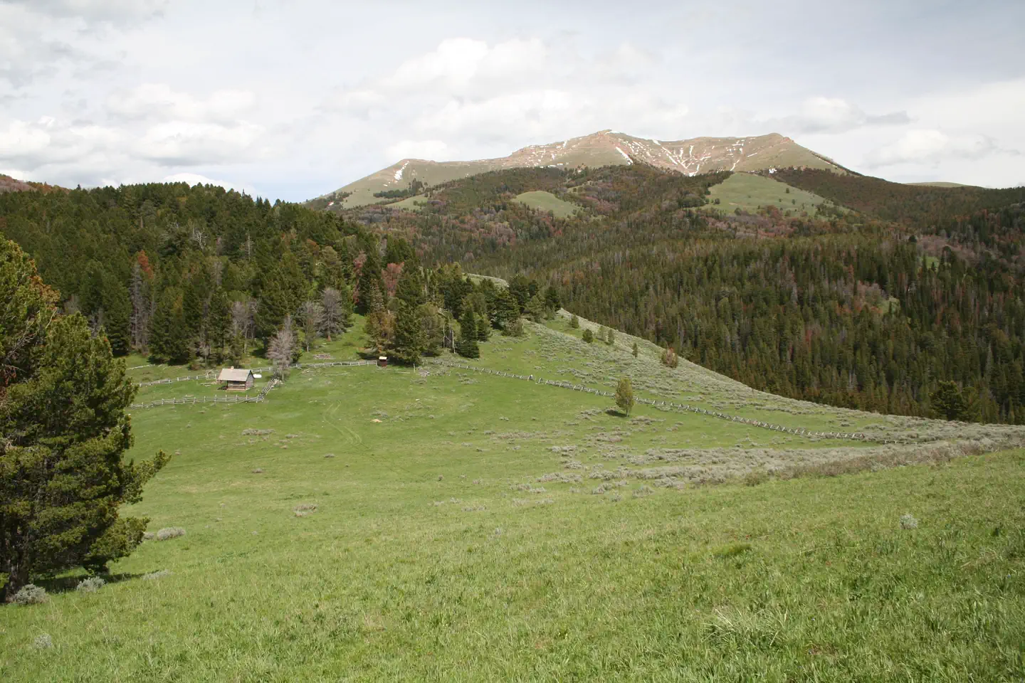 Antone Cabin — Antone area view