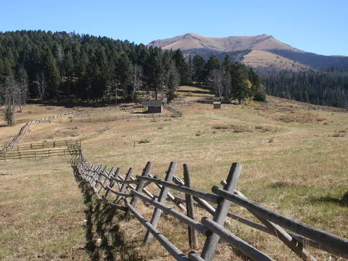 Antone Cabin — Antone Cabin Fence