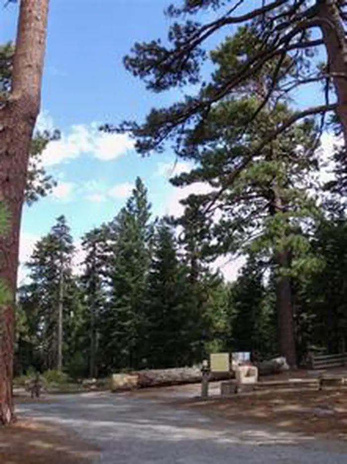 Jackson Flats — JACKSON FLATS