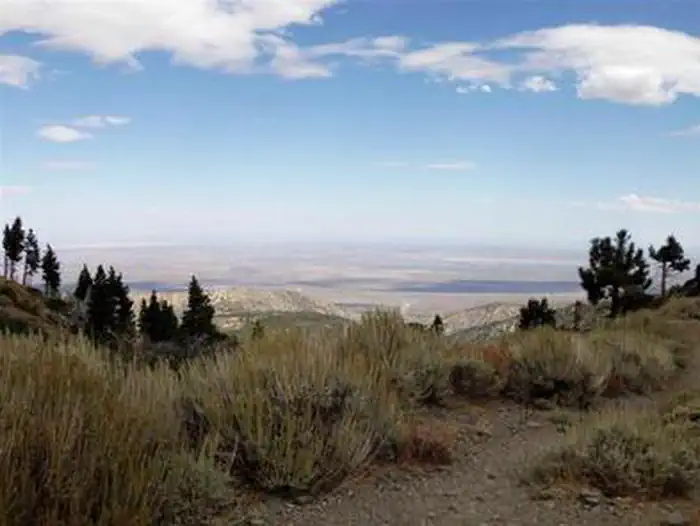 Jackson Flats — JACKSON FLATS