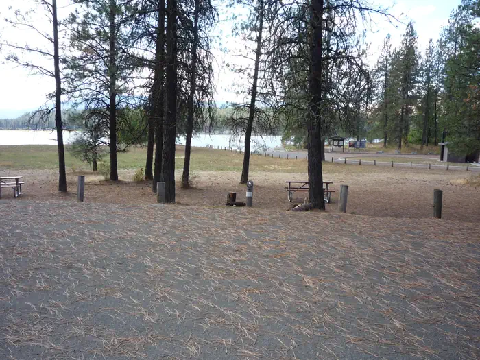 Evans Campground — The photo shows a pine‑covered campground area with picnic tables and a fire ring overlooking a lake, with the boat launch and shoreline visible in the background.