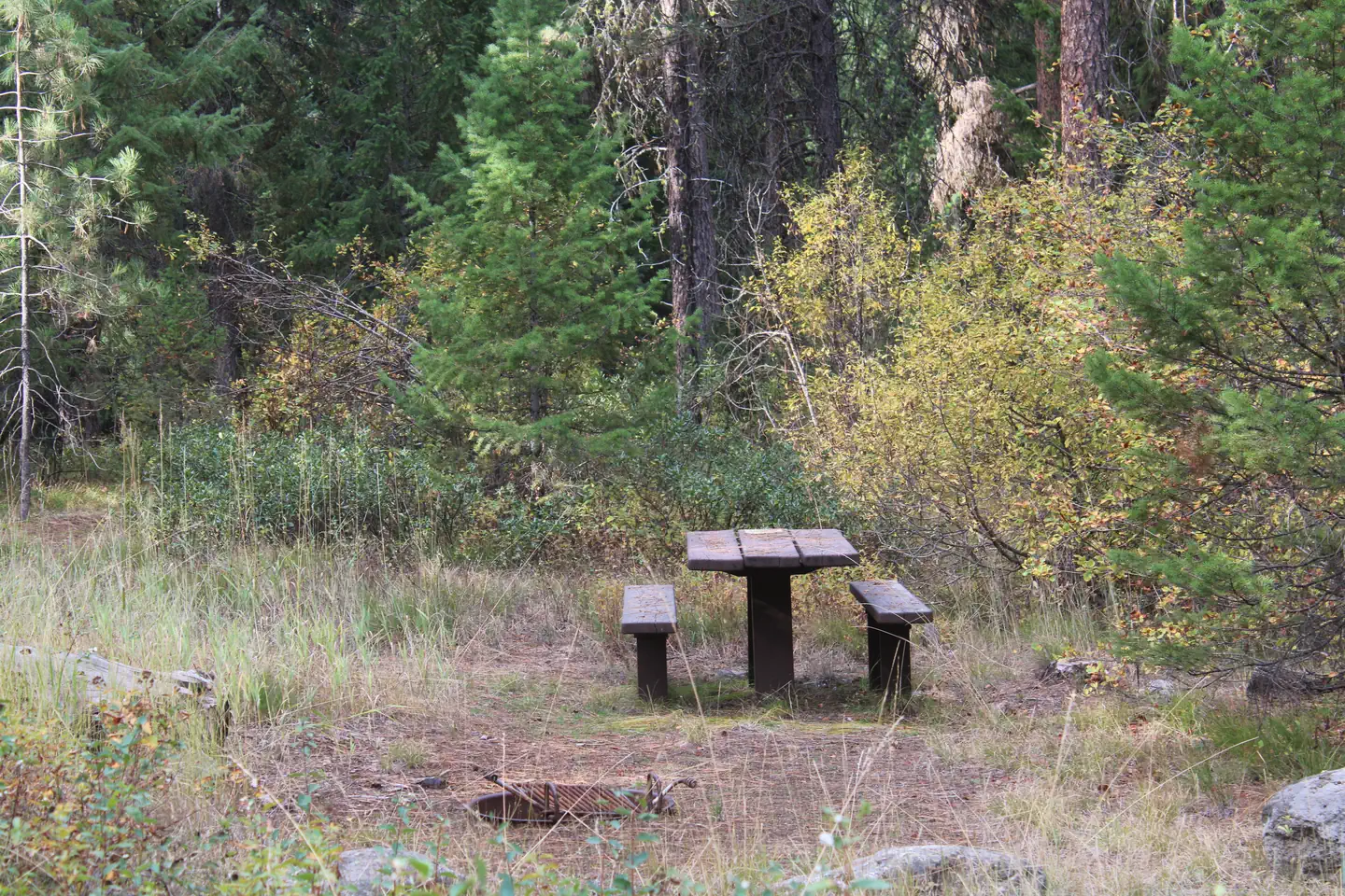 Park Creek (idaho) — Another site at Park Creek