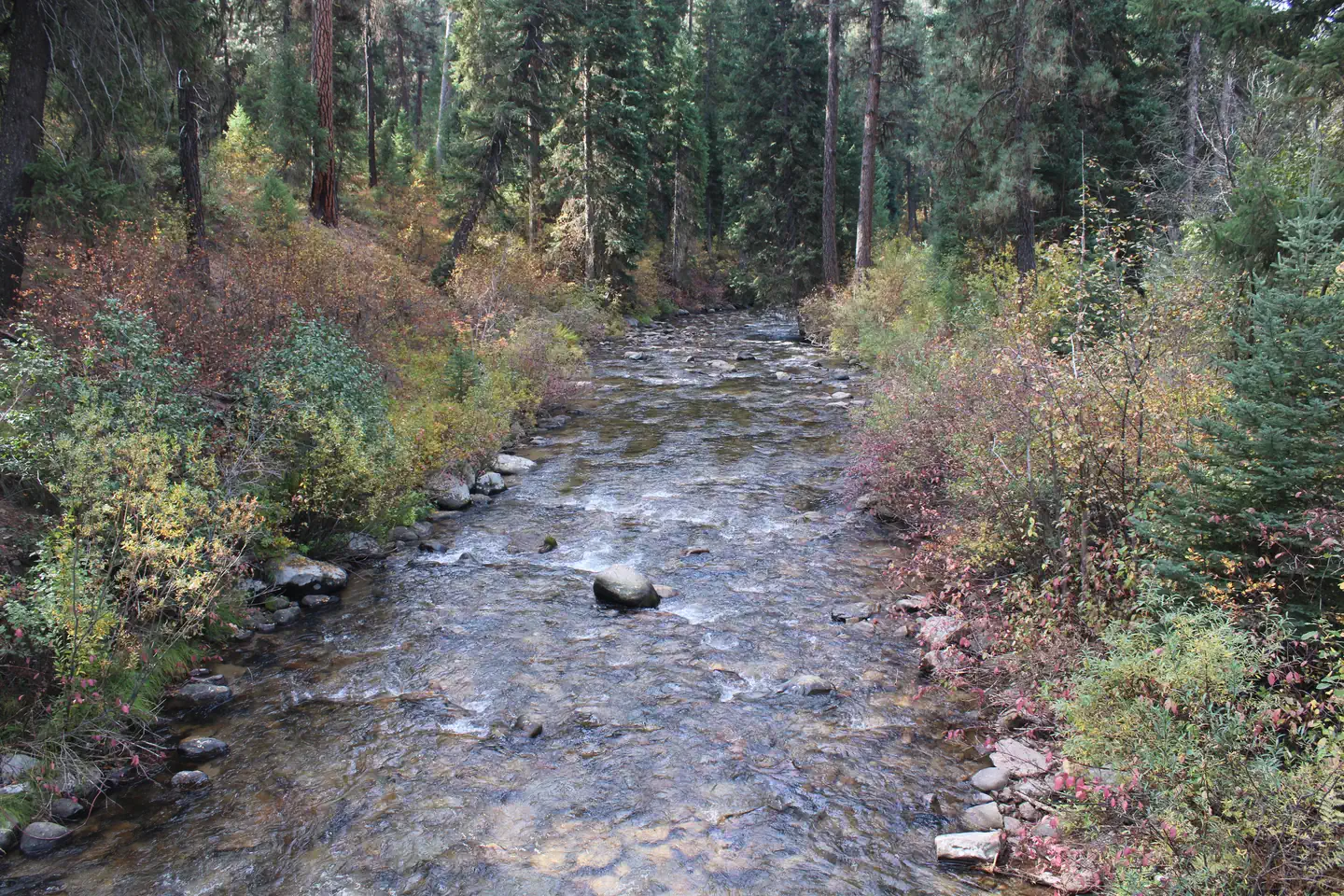 Park Creek (idaho) — Clear Creek