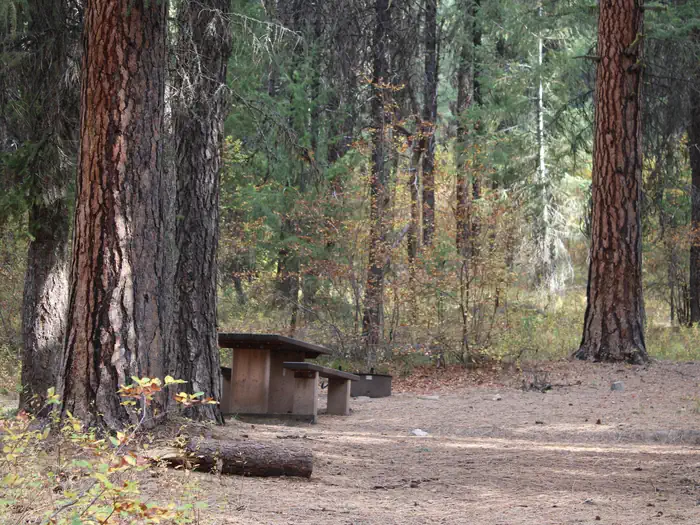 Park Creek (idaho) — Camp site table