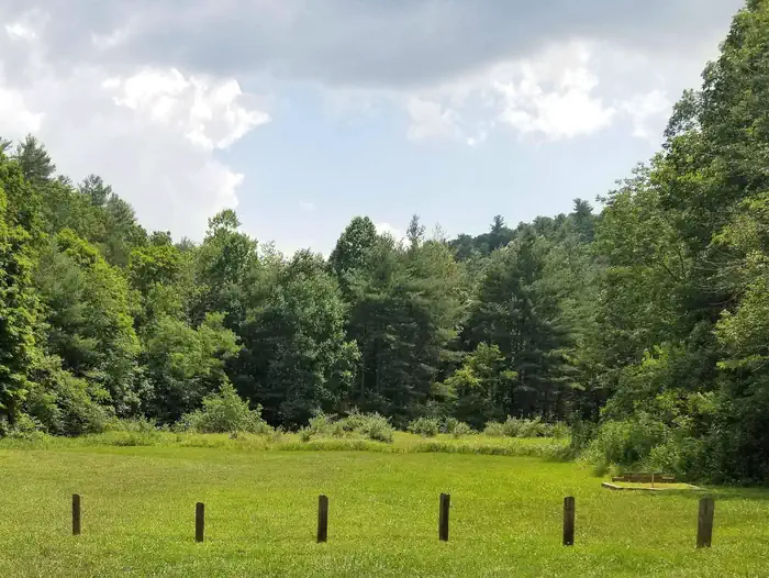 Boley Field Group Campground — Boley Field group area