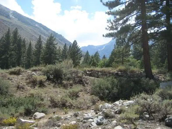 Upper Sage Flat — UPPER SAGE FLAT
