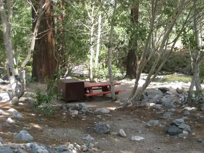 Upper Sage Flat — UPPER SAGE FLAT