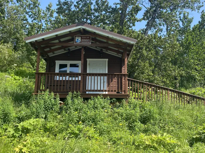 Kodiak National Wildlife Refuge Cabins — View of front of Uganik Lake Public Use Cabin surrounded by fireweed and tall trees in background