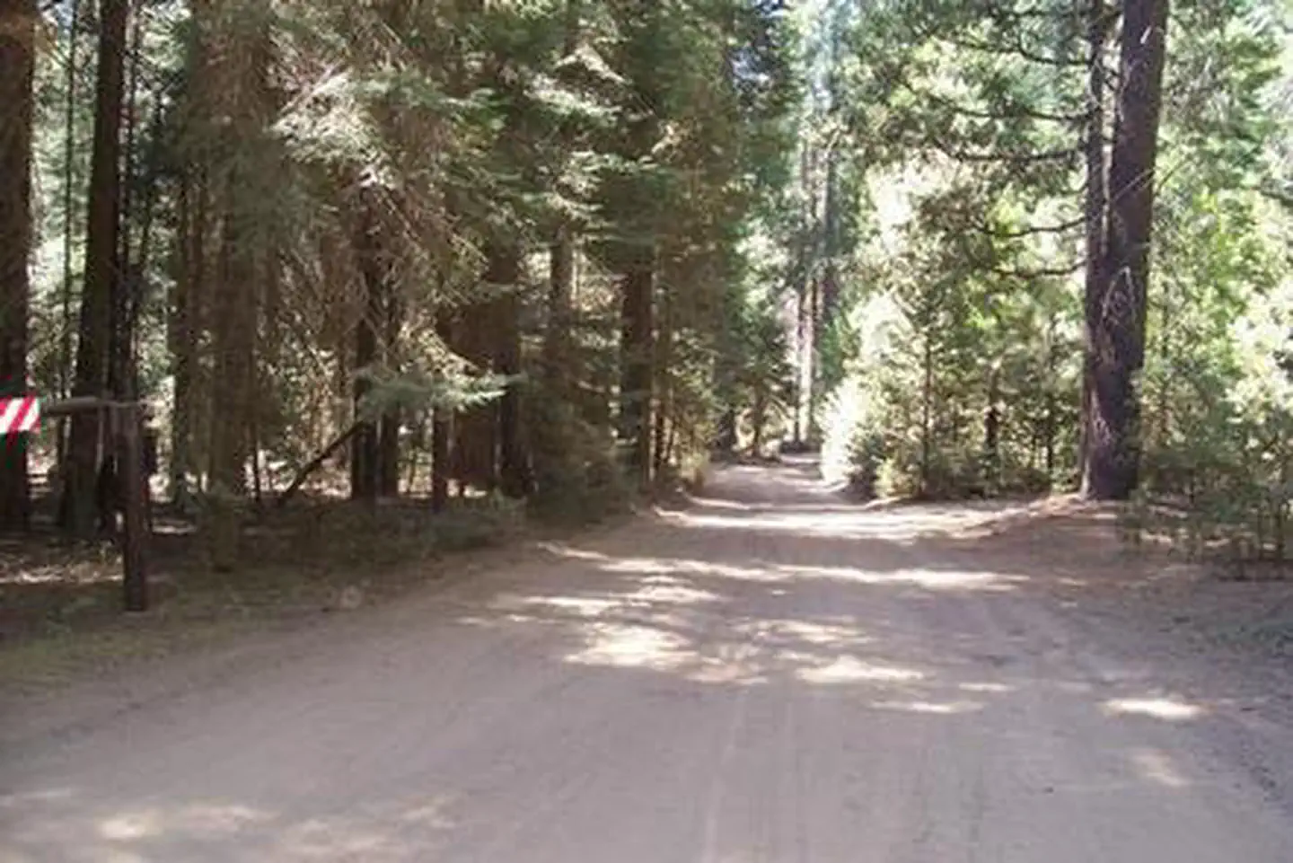 Eshom Campground — ESHOM CAMPGROUND