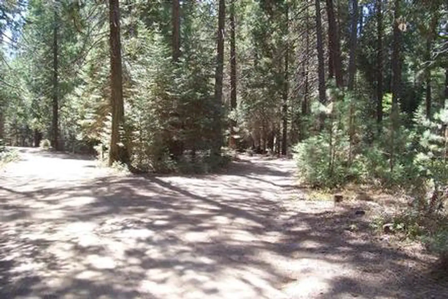 Eshom Campground — ESHOM CAMPGROUND