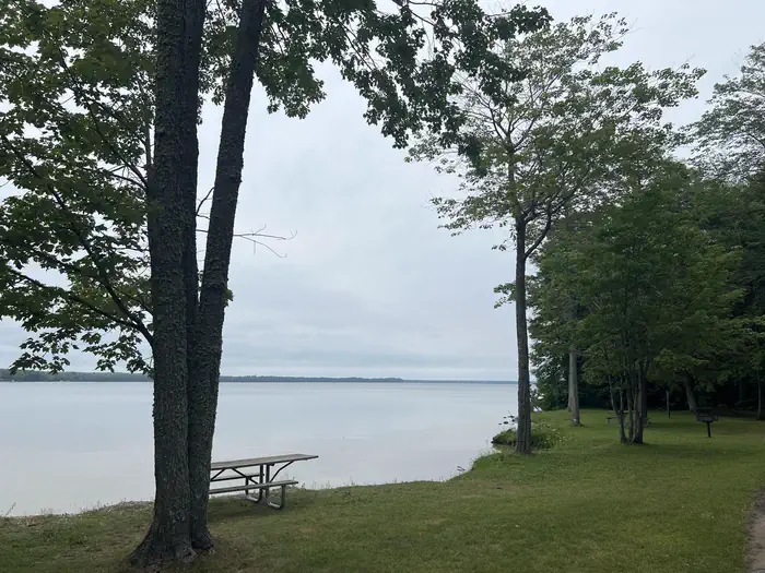 Brevoort Lake Campground — BREVOORT LAKE CAMPGROUND
