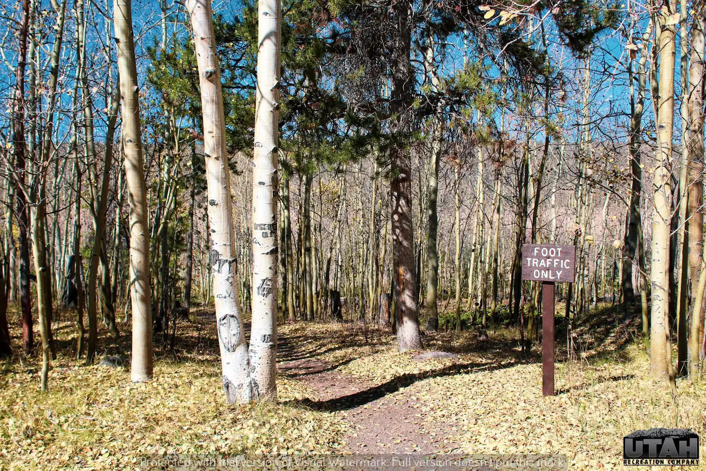Stateline Campground — Stateline path