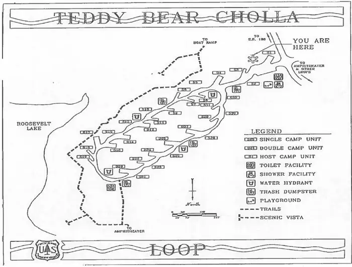Cholla Campground — Teddy Bear Loop Map