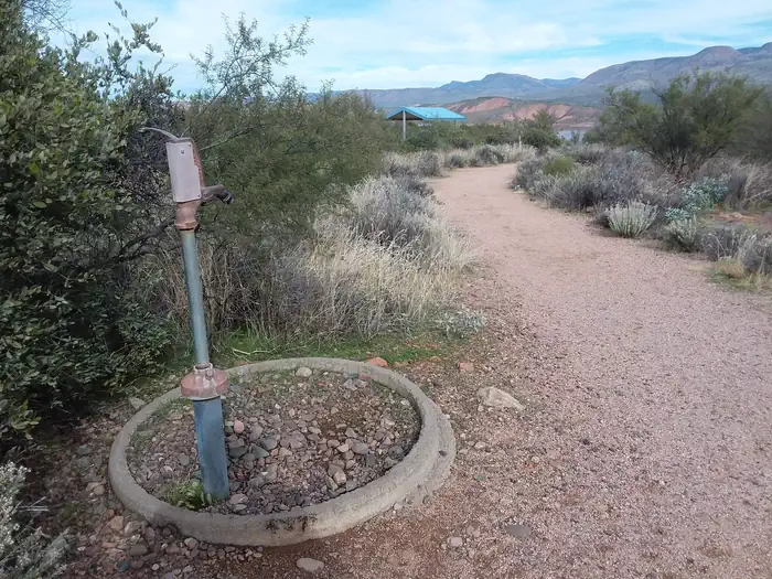 Cholla Campground — On-site water.