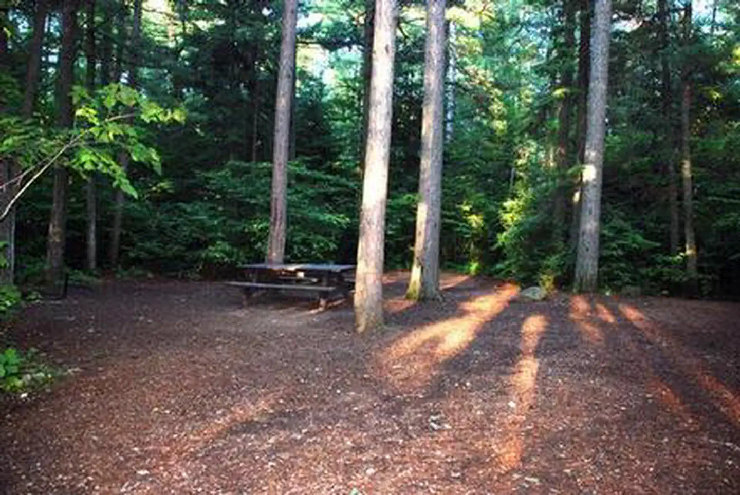 Sawbill Lake Campground - Superior National Forest — Sawbill Lake Campground - Superior National Forest