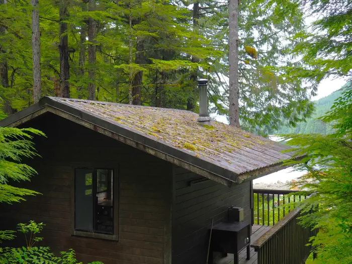 Frosty Bay Cabin — Frosty Bay Cabin scenery from behind the cabin with trees, a lake and mountains