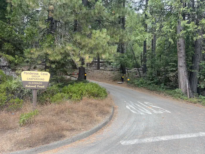 Ponderosa Cove Group Campground — PONDEROSA COVE GROUP CAMPGROUND