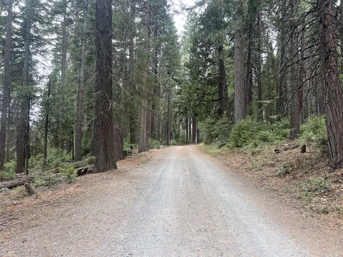 Ponderosa Cove Group Campground — PONDEROSA COVE GROUP CAMPGROUND