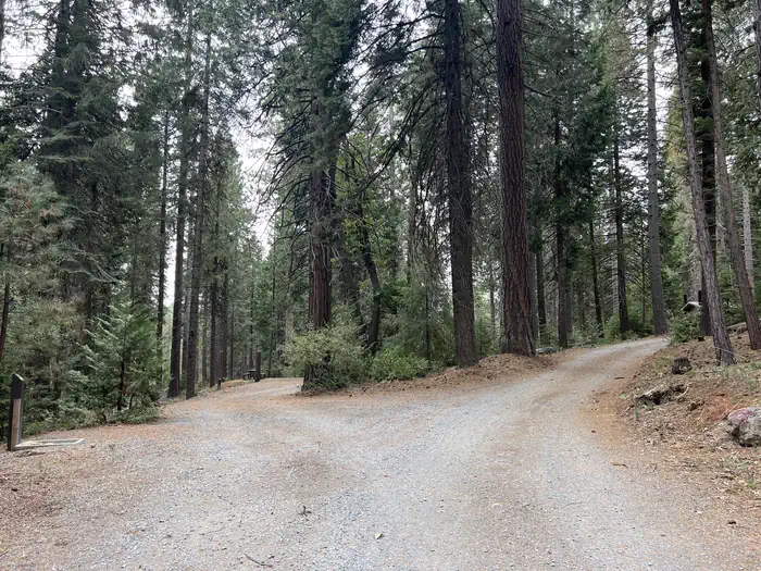 Ponderosa Cove Group Campground