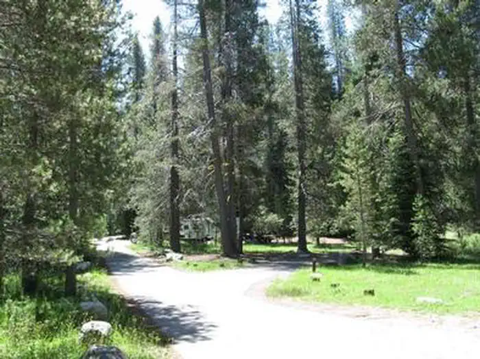 Chapman Creek Campground — Chapman Creek Campground