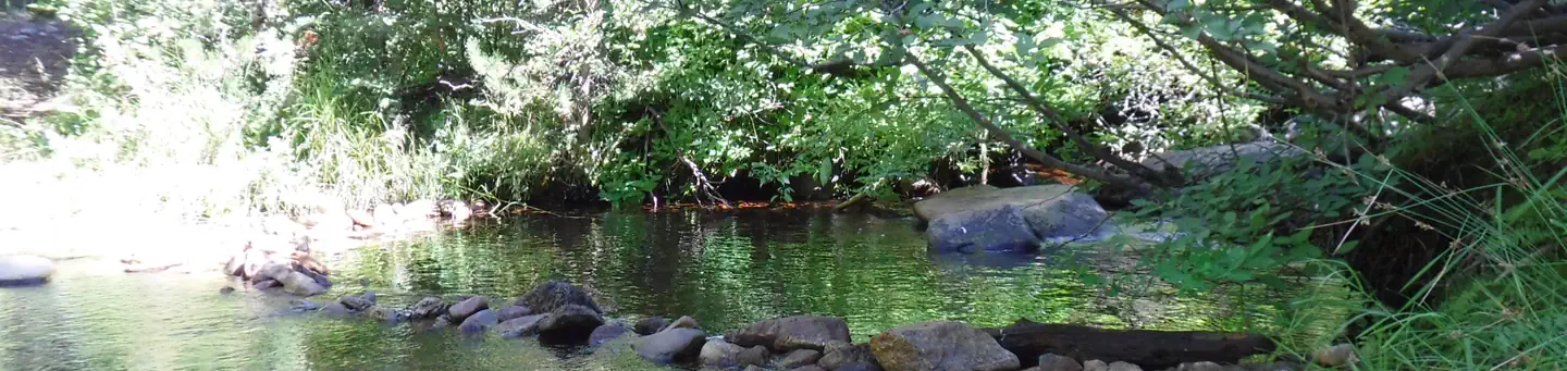 Chapman Creek Campground
