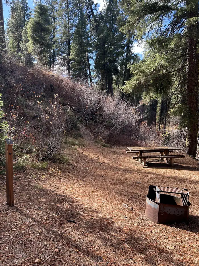 Hayfork Group Campground — Campsite with a picnic table and fire ring.
