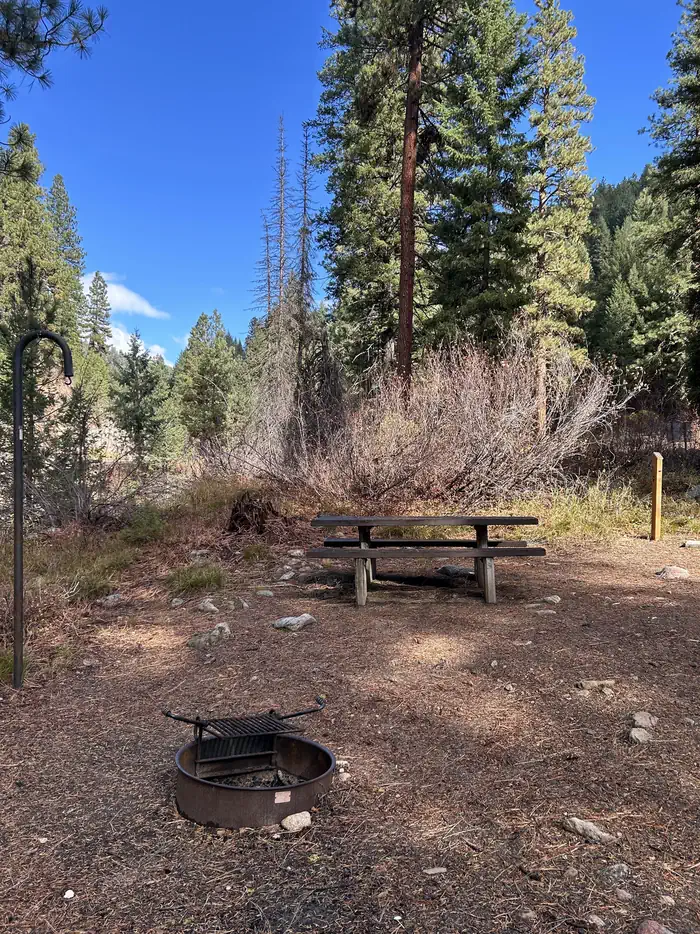 Hayfork Group Campground — Campsite with, picnic table, lantern hook, and fire ring.