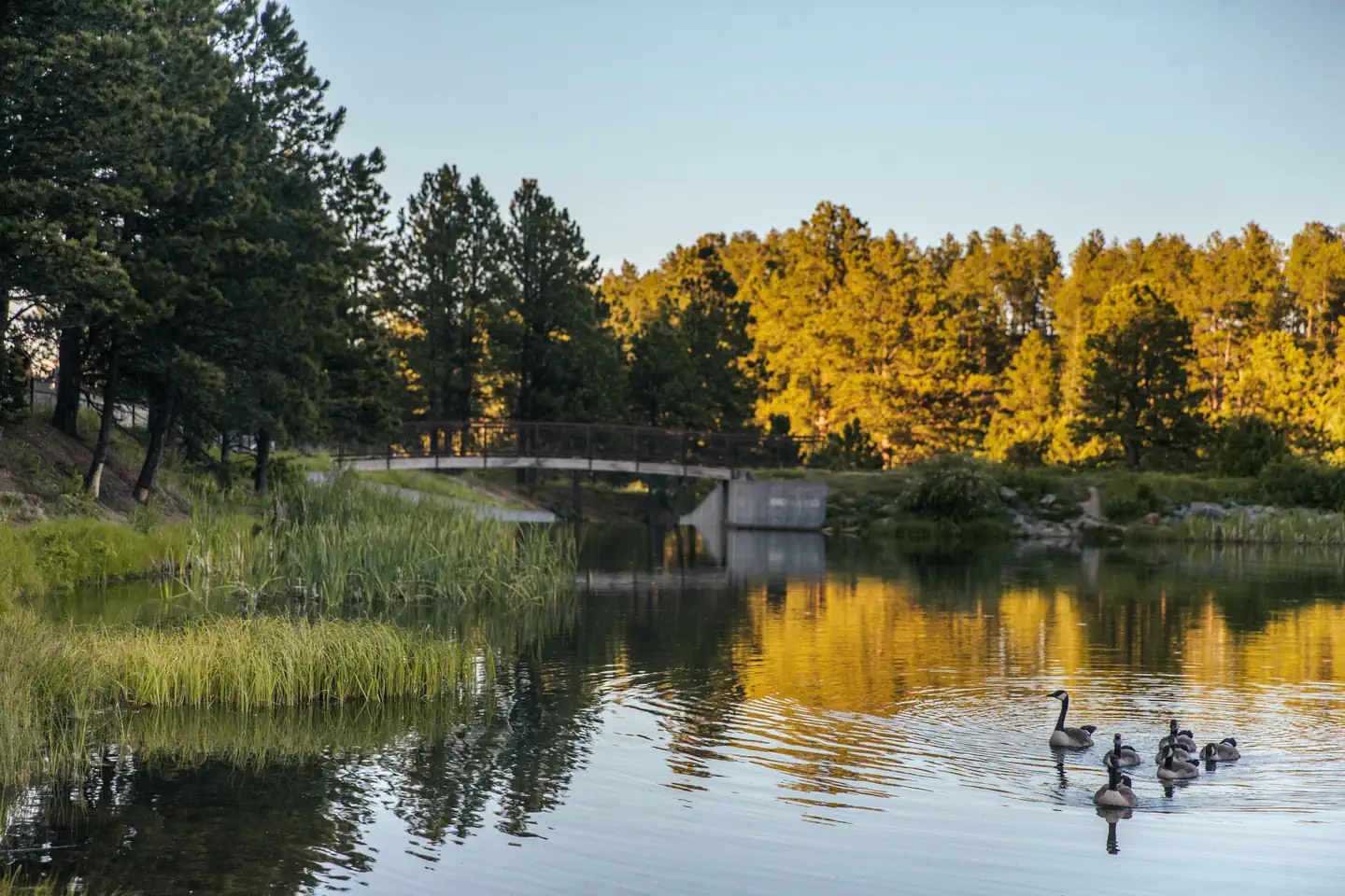 Roubaix Lake — Bridge at Roubaix Lake