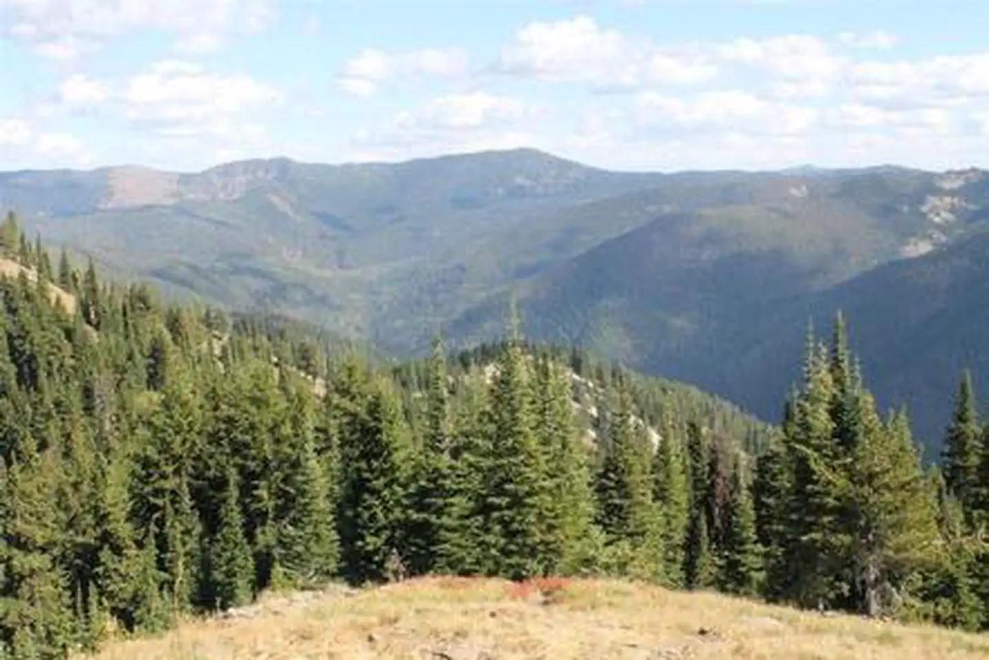 Cougar Peak Lookout β COUGAR PEAK LOOKOUT