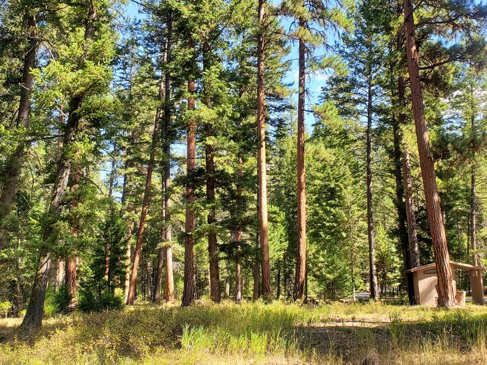 Alta Campground — Alta Campground south end