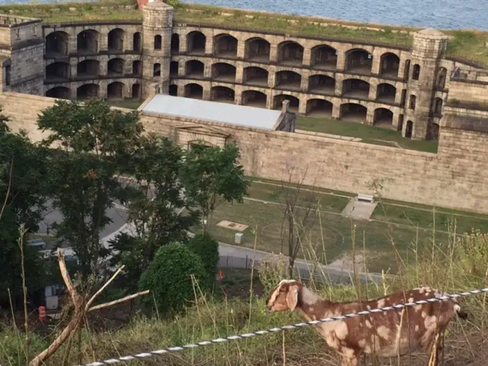 Camp Gateway - Staten Island — FORT WADSWORTH BATTERY WEED- THINGS TO DO